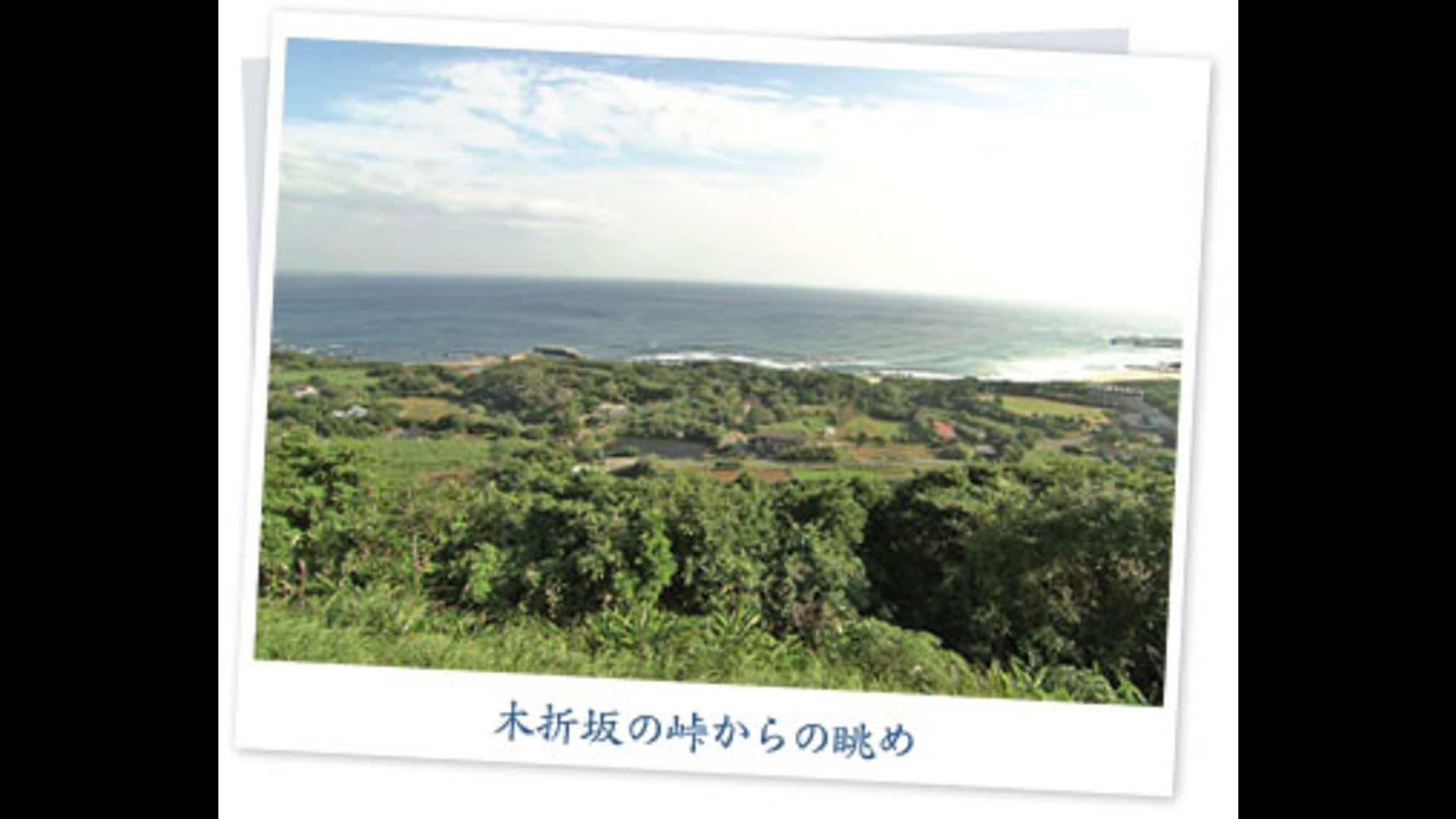 とうちゃこ 594日目 鹿児島県西之表市伊関 | にっぽん縦断 こころ旅 | NHK