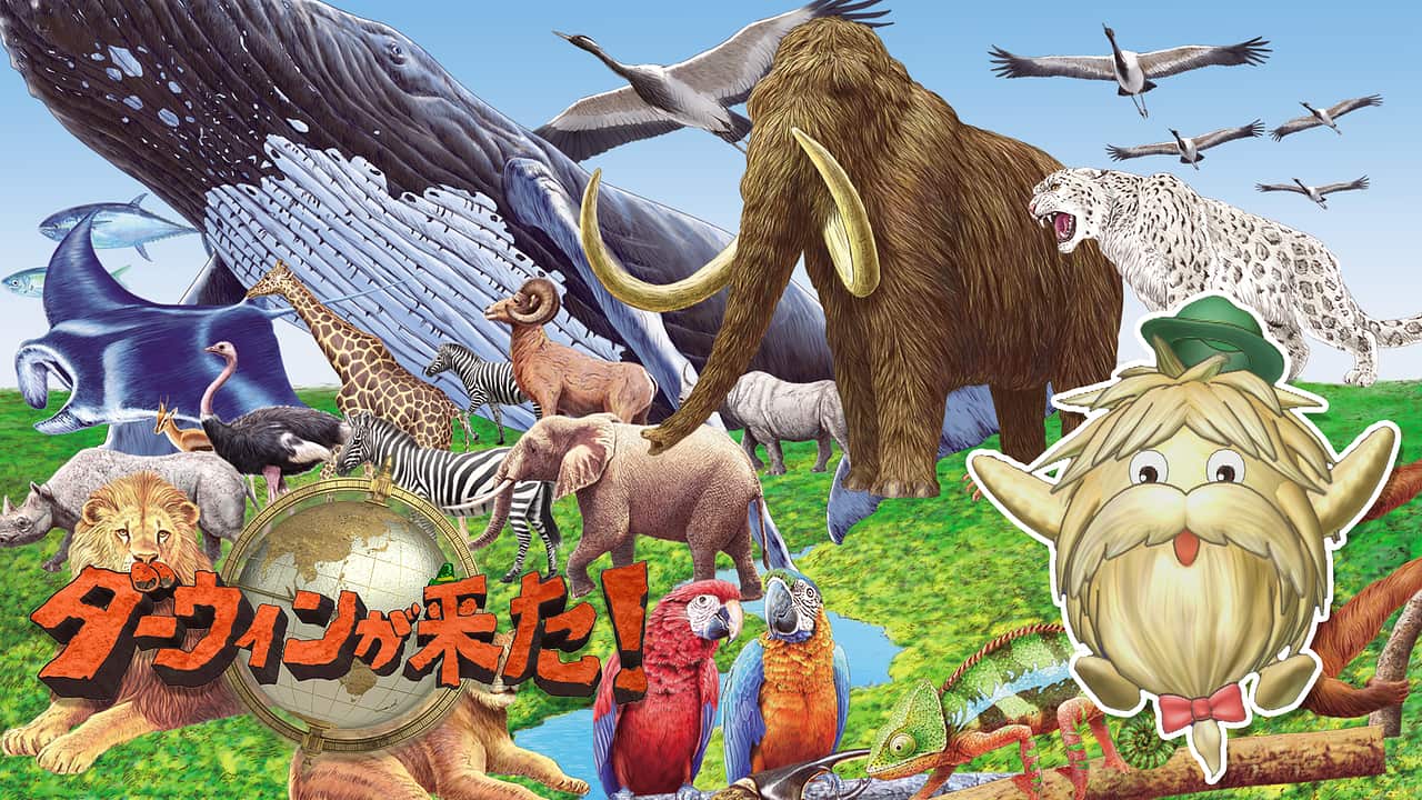 数こそ力!ヌー150万頭の旅 | ダーウィンが来た!15min. | NHK